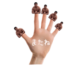 796050008