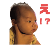 796058228