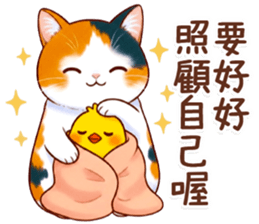 796059915
