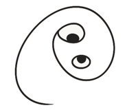 796064737