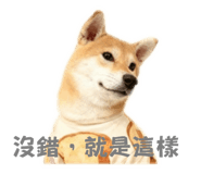 796065137