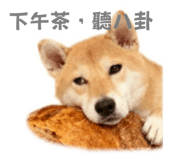 796065142