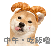 796065144