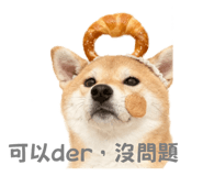 796065145