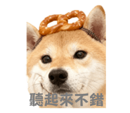 796065147