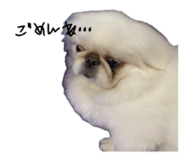 796066048