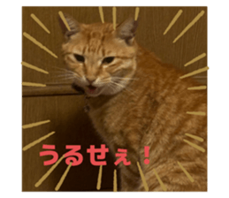 796073177