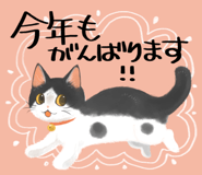 796078026