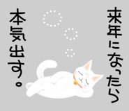 796078040