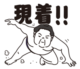 7960905