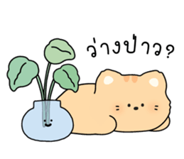 ลายที่ 5