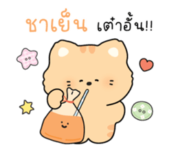 ลายที่ 11