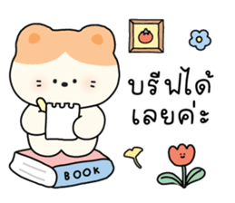 ลายที่ 27