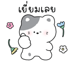 ลายที่ 51