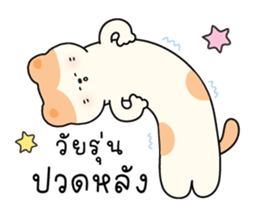 ลายที่ 53