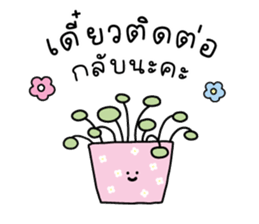 ลายที่ 65