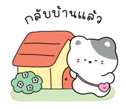 ลายที่ 71