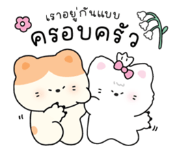 ลายที่ 75