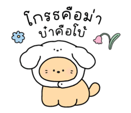 ลายที่ 77