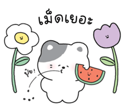 ลายที่ 79