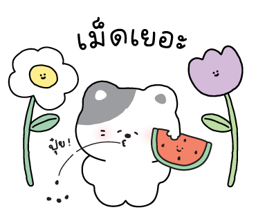 ลายที่ 40