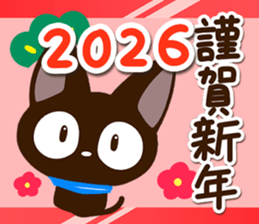 796097964