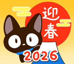 796097965