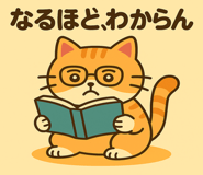 796098611