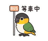 796113770
