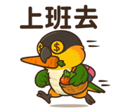 796113781