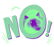 796117630