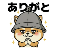 796123556