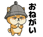 796123561