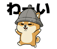 796123563