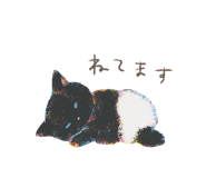 796136922
