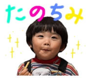 796151430