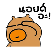 796162493