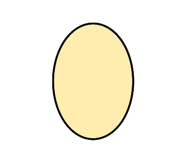 796192850
