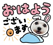 796195114