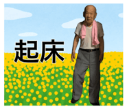 796196252
