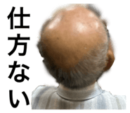 796196266