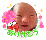 796206025