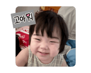 796207913