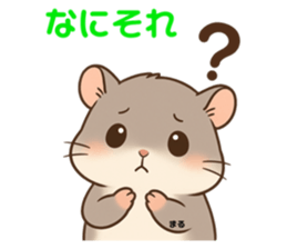 796209551