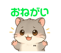 796209552