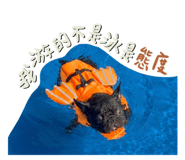 796215359