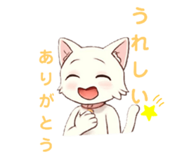796233552