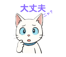 796233565