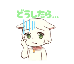 796233571