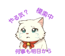 796233575